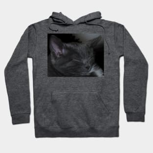 Cat Napping Hoodie